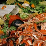 Food waste, UW Sustainability