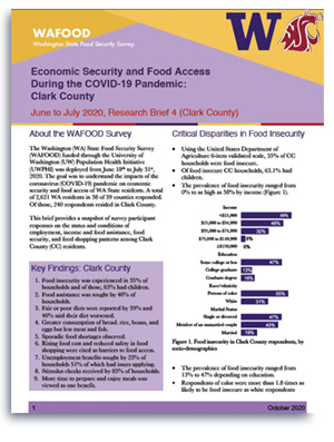 WAFOOD Survey Brief 4 on Clark County - document preview thumbnail