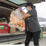 Volunteer packing food donation in car