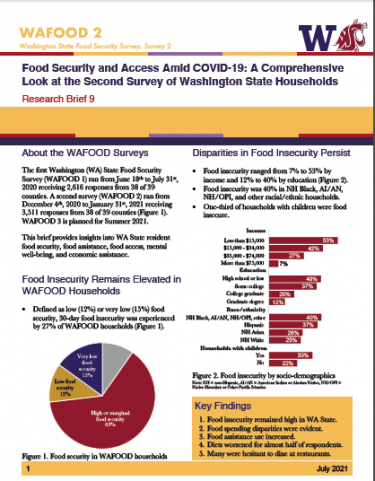 Preview of WAFOOD Brief 9 first page of report