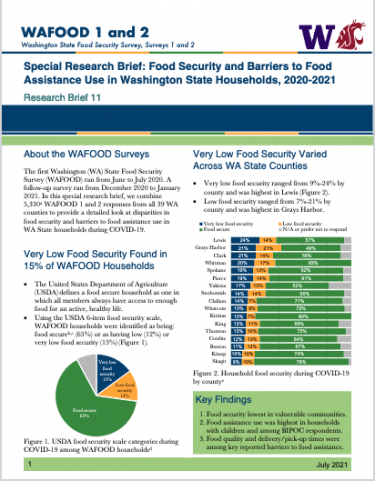 Preview of WAFOOD Brief 11 report