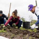 Volunteers working at UW farm