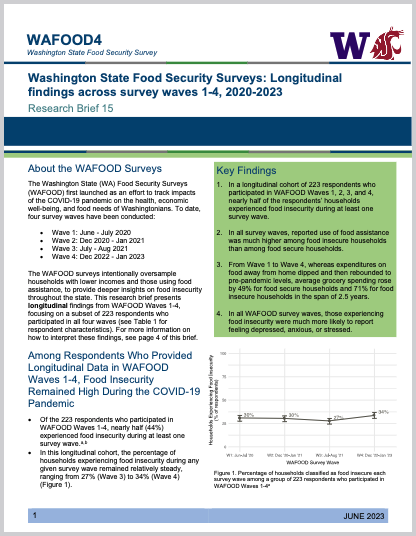 WAFOOD Brief 15 – Washington State Food Security Surveys: Longitudinal ...