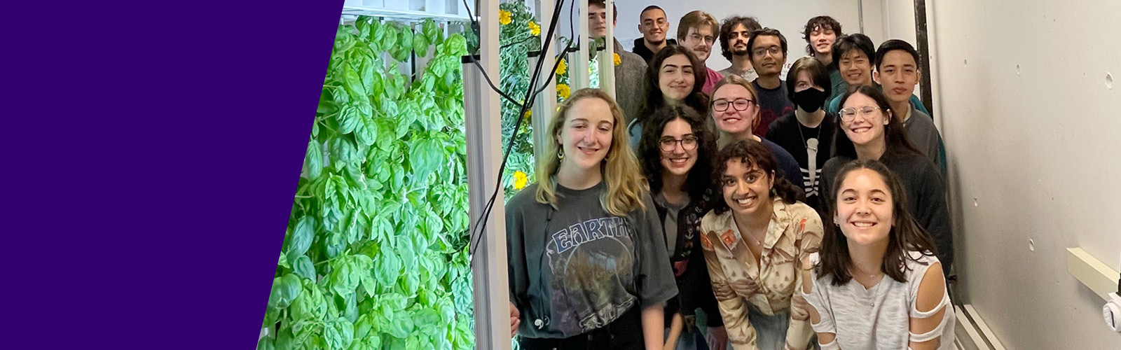 Students pose for a group photo in the Project IF hydroponics farm at University of Washingtong