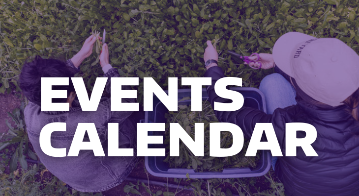 Events Calendar